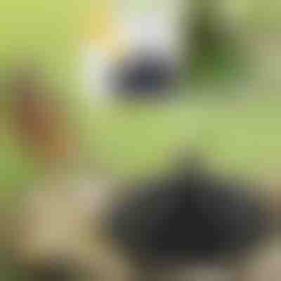 Ożyw swój ogród dzięki magicznej fontannie solarnej | FONTANA