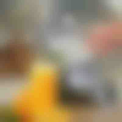 Ręczna Wyciskarka do Owoców | JUVOPRESS