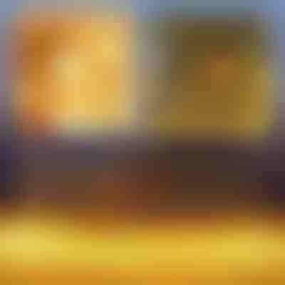 Świąteczna LED-owa siatka świetlna | LUMONET