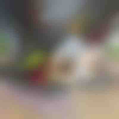 Krajalnica i siekacz do warzyw 12 w 1 (w zestawie 7 ostrzy) | CHOPMASTER