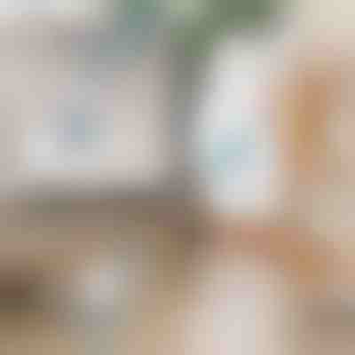 Elektryczna obrotowa szczotka czyszcząca | ROTOBRUSH