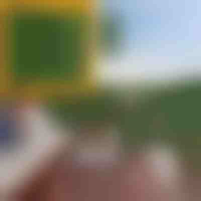 Panel ze sztucznych liści chroniący prywatność | LEAFPANEL