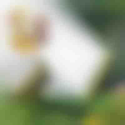 Zraszacz wielogłowicowy | SPRAYMASTER