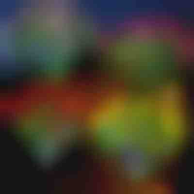 Kwiatowa lampa solarna | ROSILUME