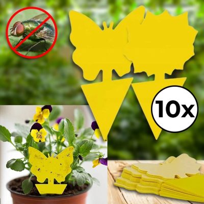 Lepkie Pułapki na Muchy (10 szt.) | BUGILURE